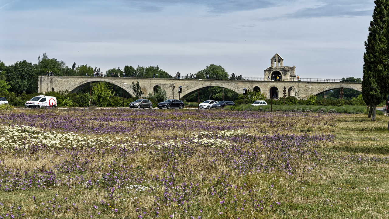 20230517 132920•Avignon•Provence-Alpes-Cote d'Azur•France